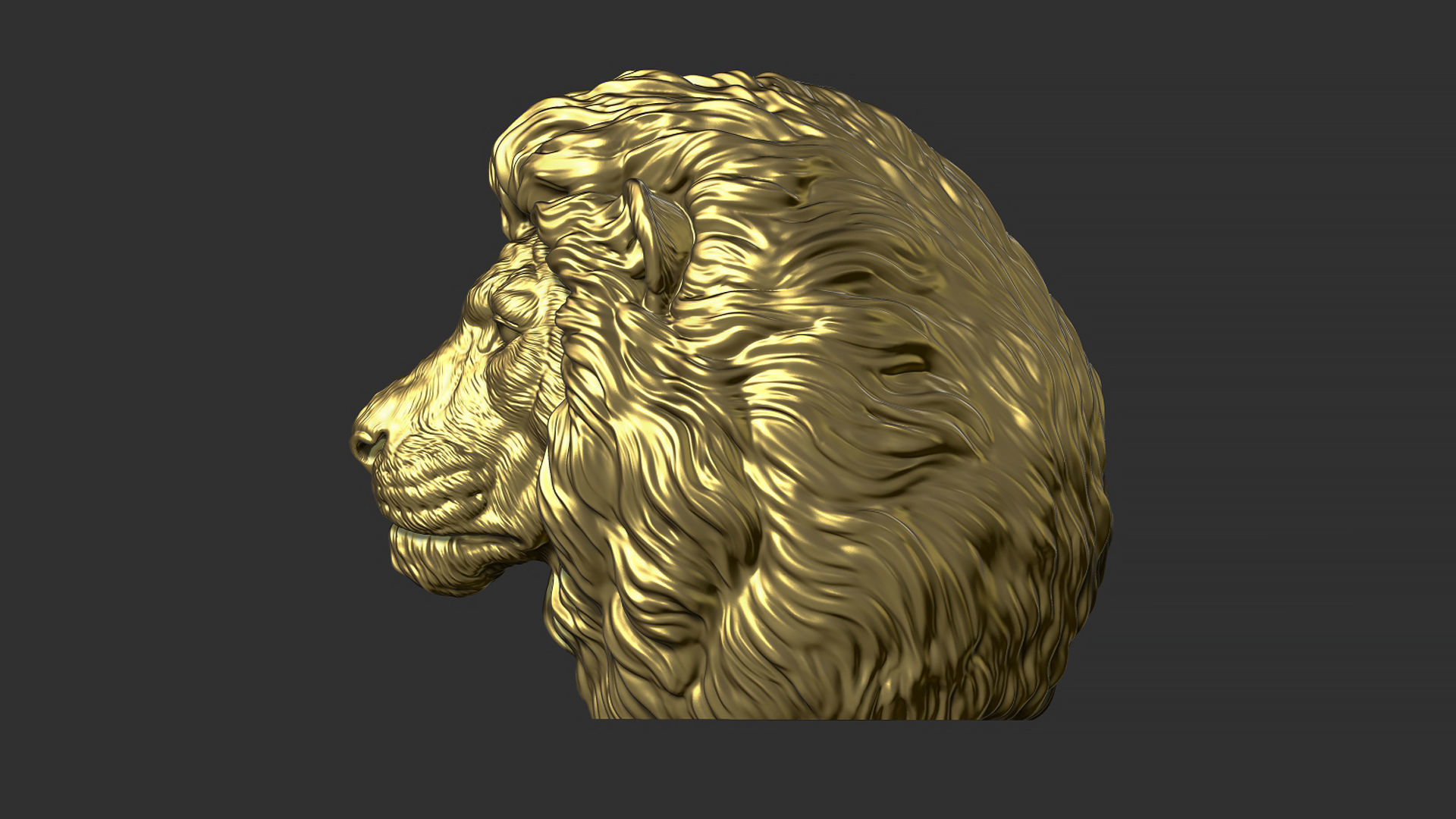 Lion quiet 3D print model_17