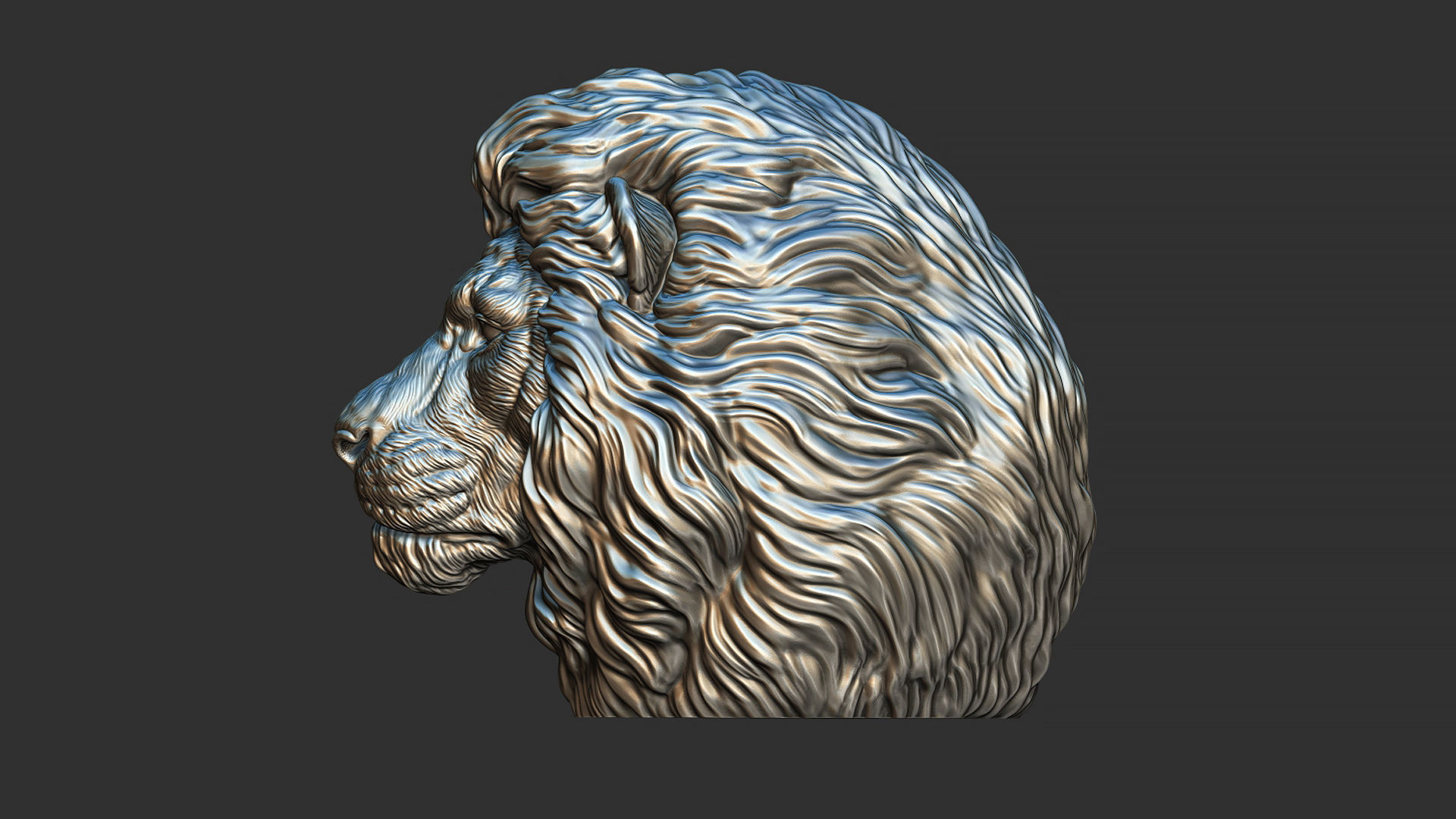 Lion quiet 3D print model_16