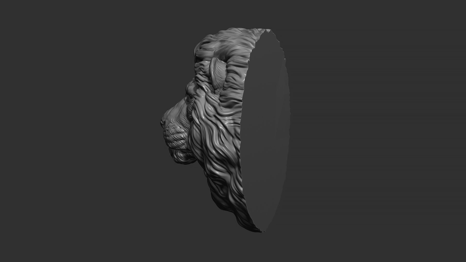 Lion quiet 3D print model_19