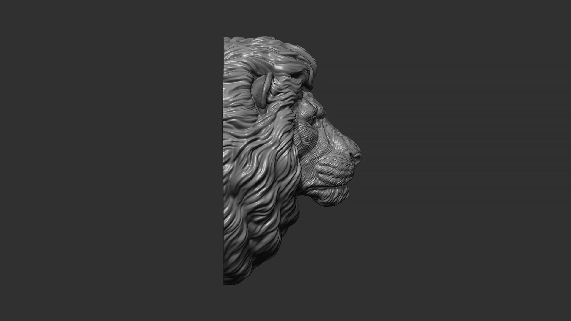 Lion quiet 3D print model_21