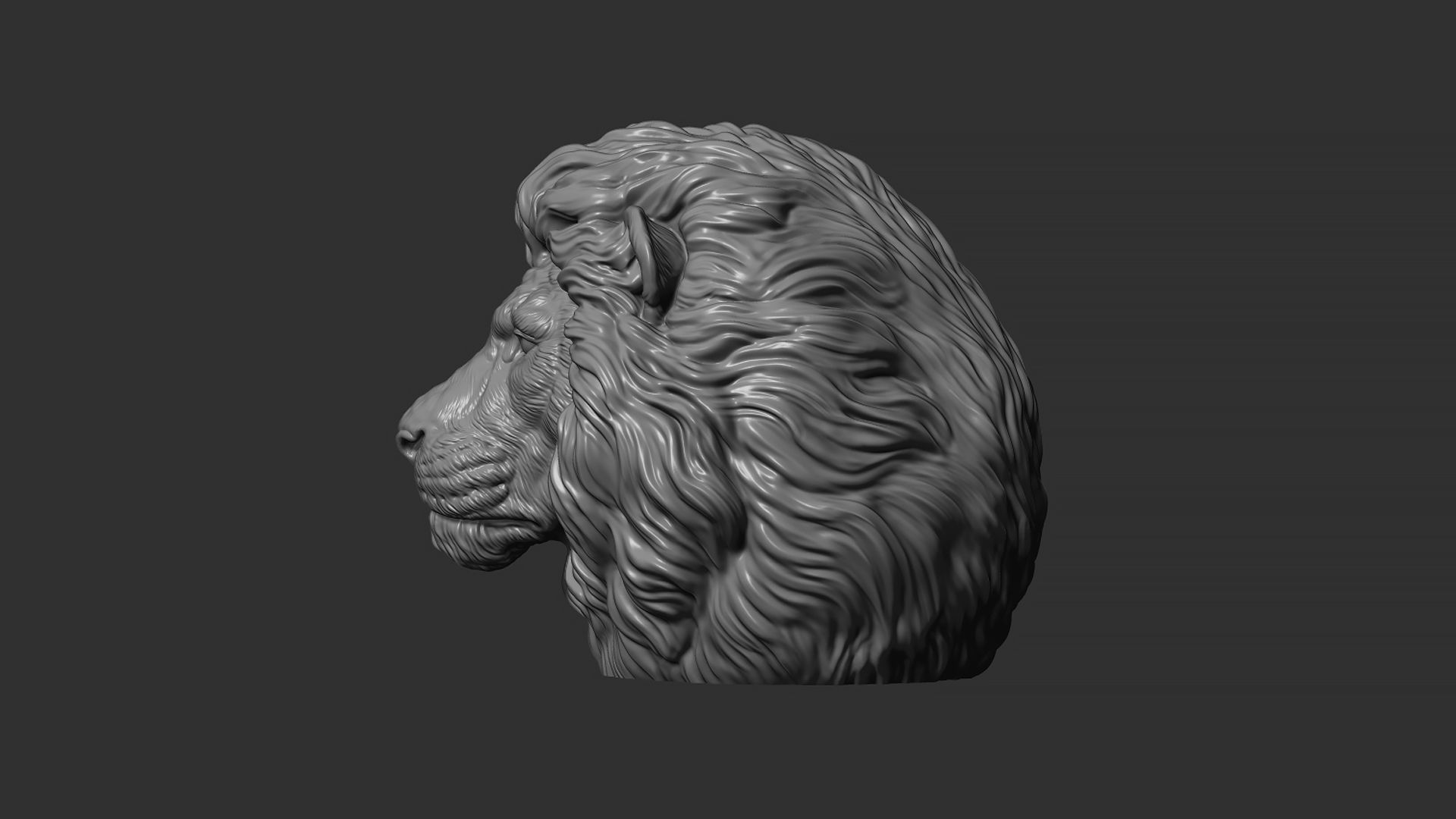 Lion quiet 3D print model_11