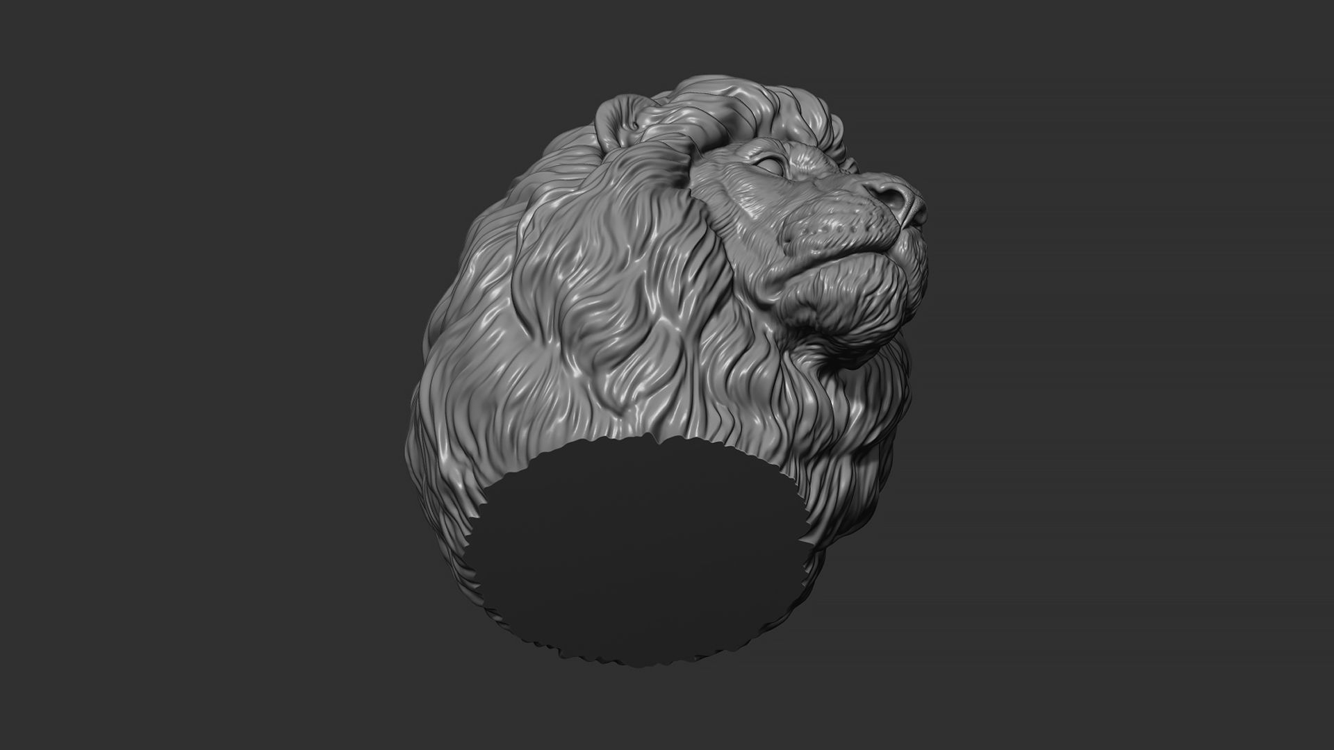 Lion quiet 3D print model_12
