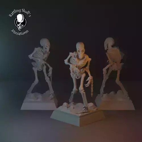 Skeleton Free 3D print model