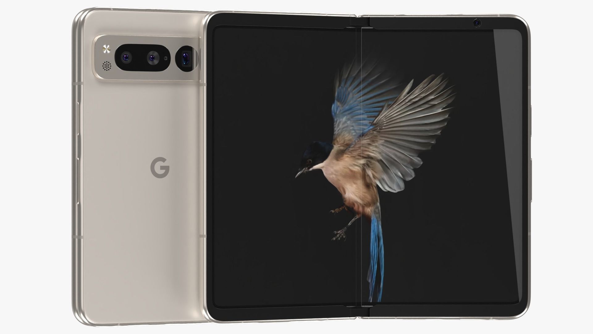 Google Pixel Fold Porcelain 3D model_1