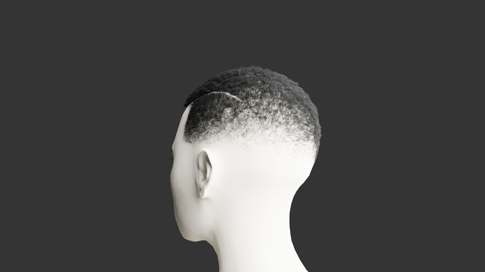 Fade with line 3D model_7