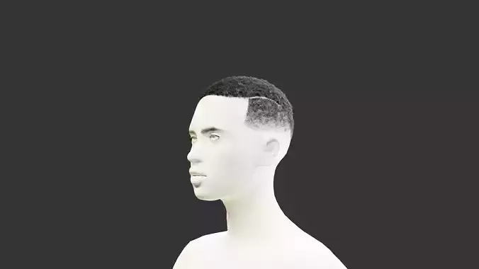 Fade with line 3D model