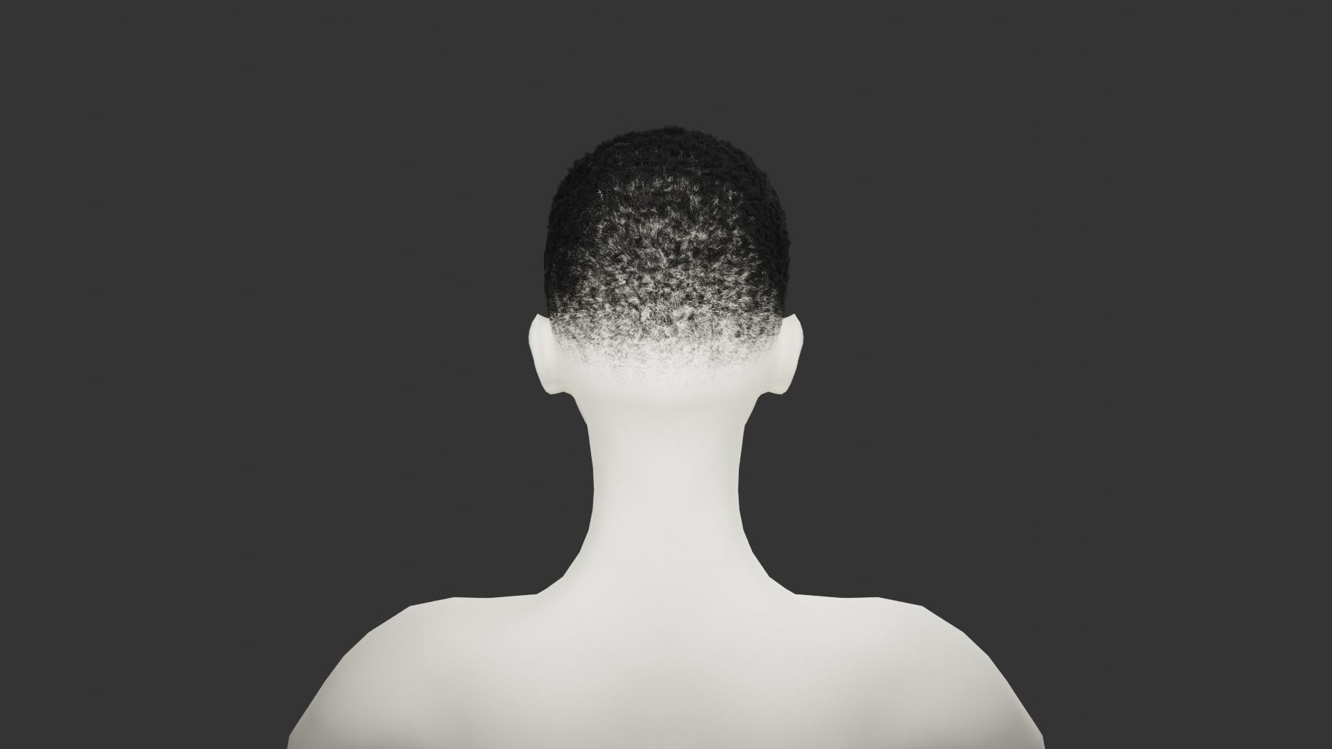 Fade with line 3D model_5