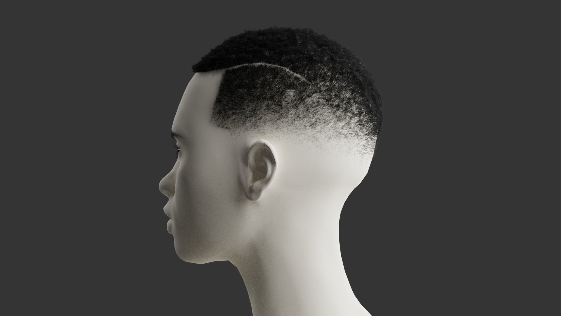 Fade with line 3D model_6