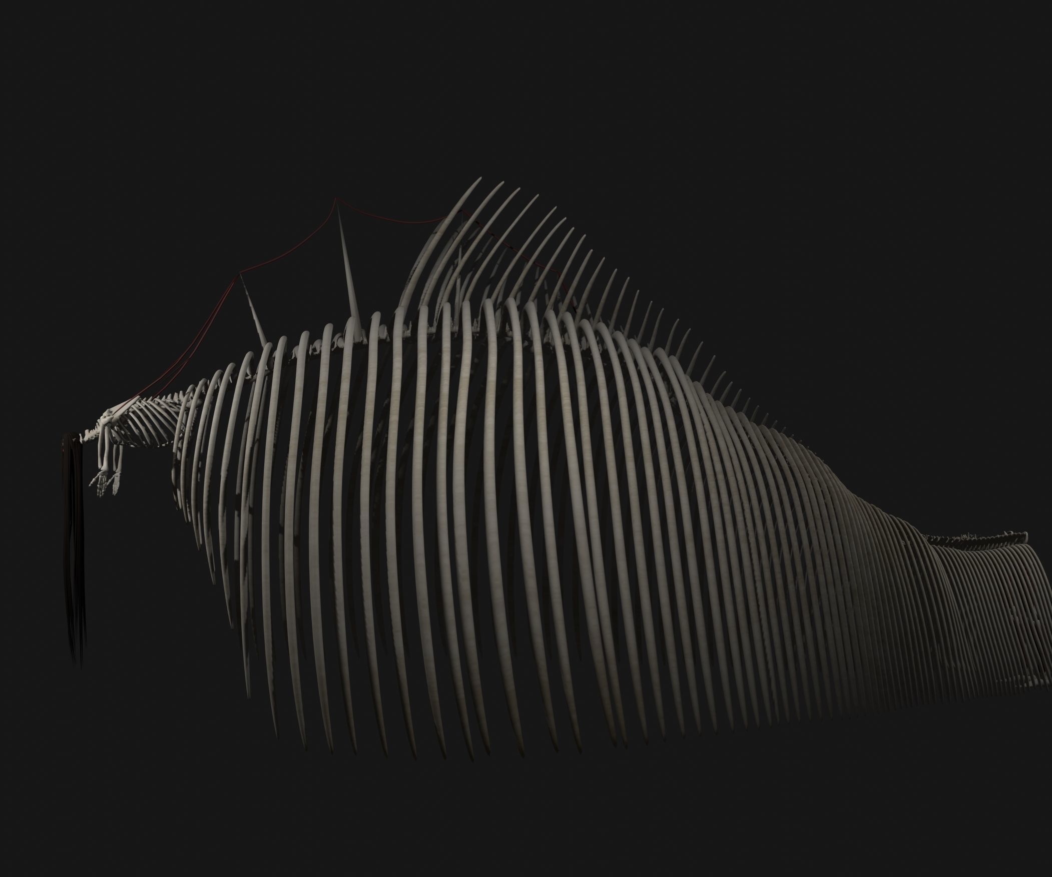 eren yeager 3D model_2