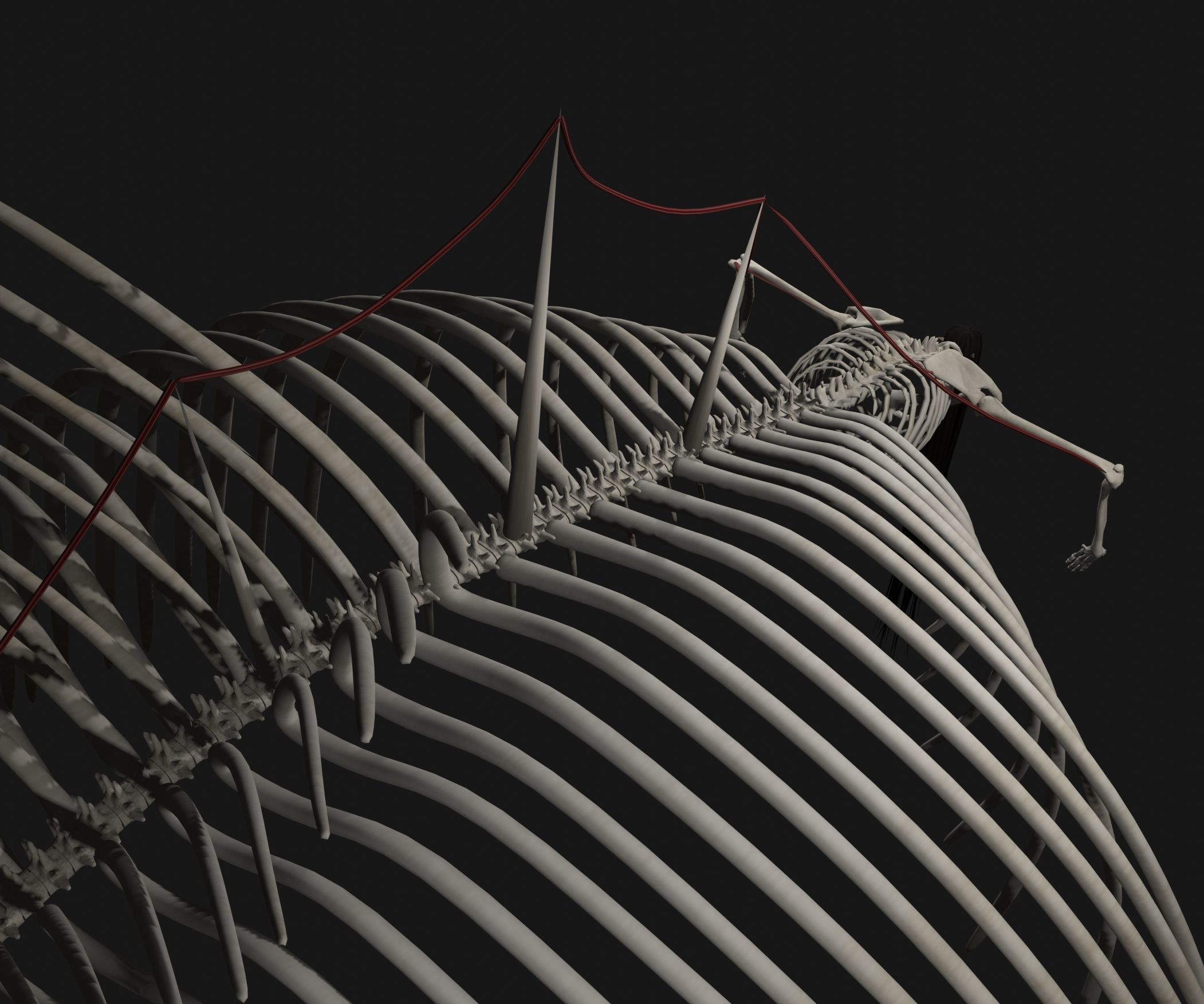 eren yeager 3D model_3