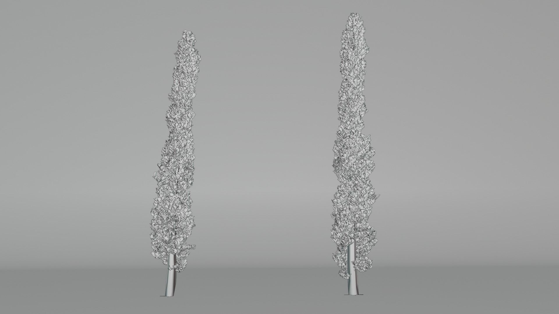 Set of realistic Italian Cypress Trees - 2 Trees - Blender  3D model_1