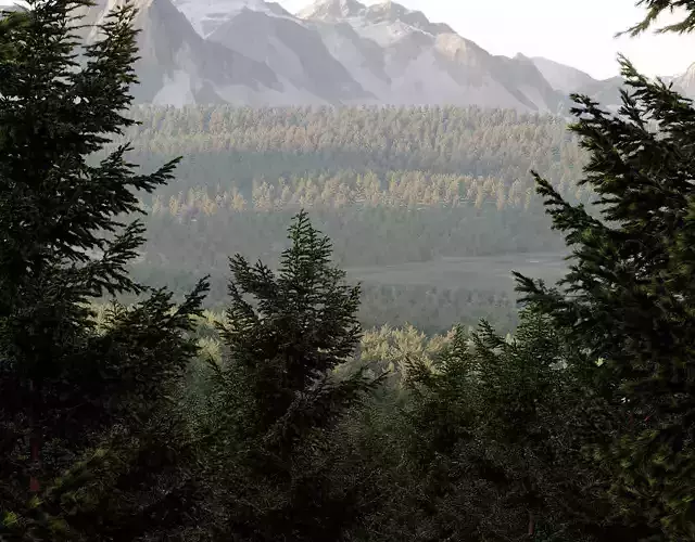 HeliosVegetation vol18 Abies alba European silver fir 3D model