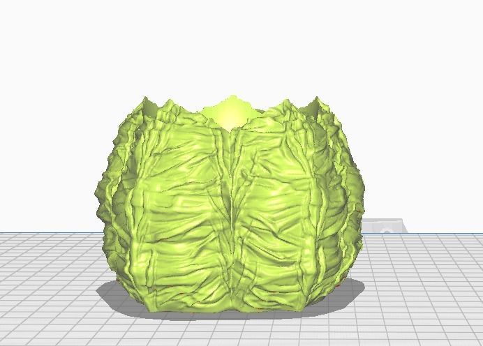 vase model astrophytom kikko fukuryu ready to print 3D print model_1