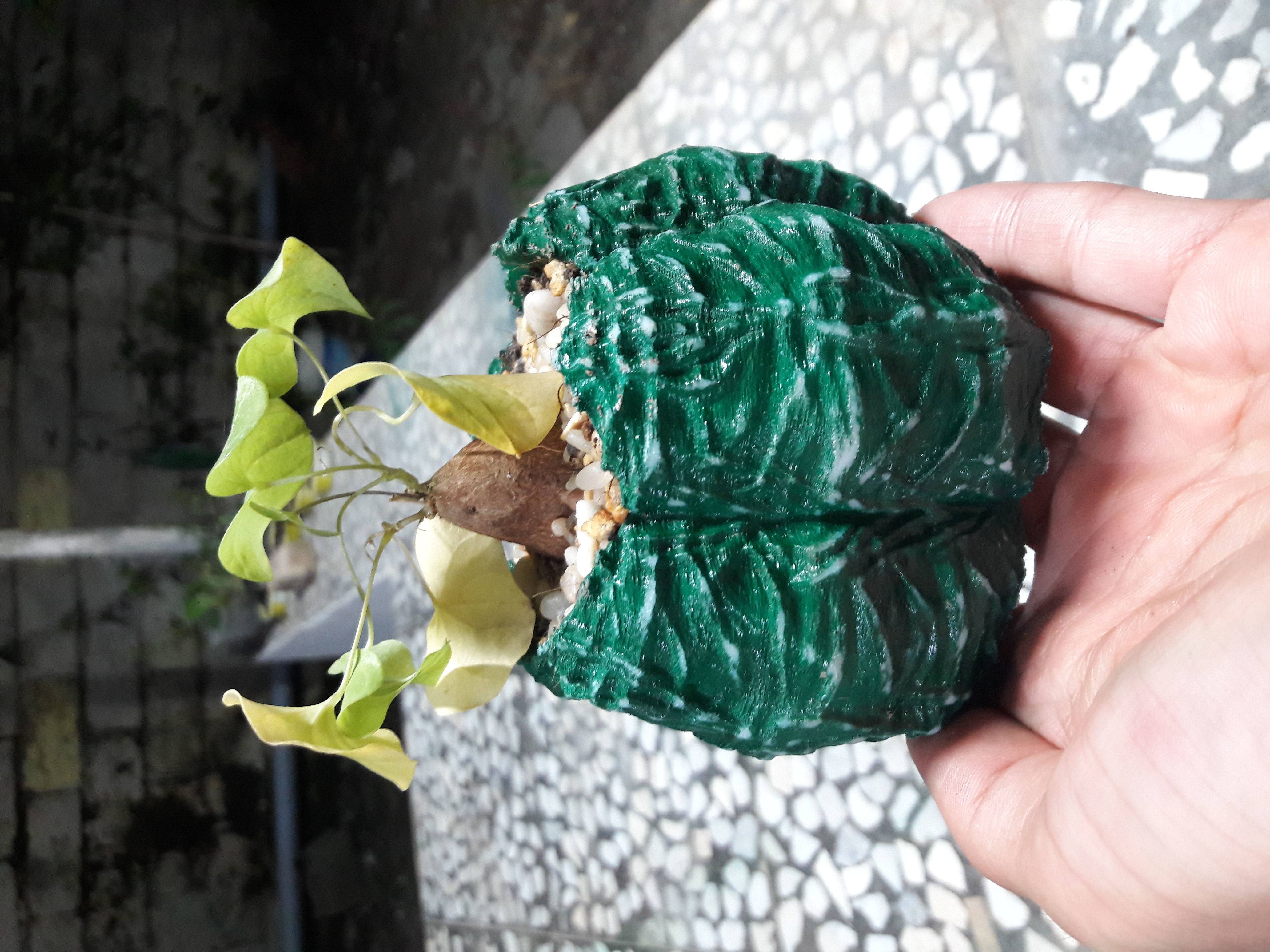 vase model astrophytom kikko fukuryu ready to print 3D print model_3