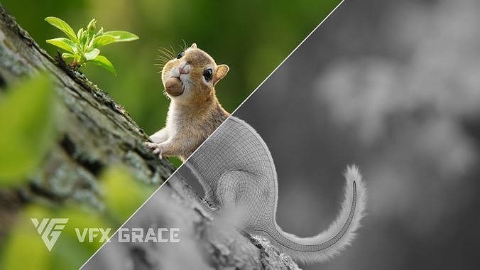 Chipmunk Animation VFX Grace 3D model 5