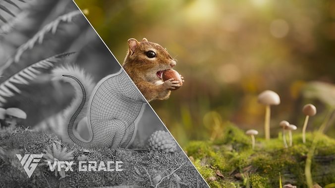 Chipmunk Animation VFX Grace 3D model 3