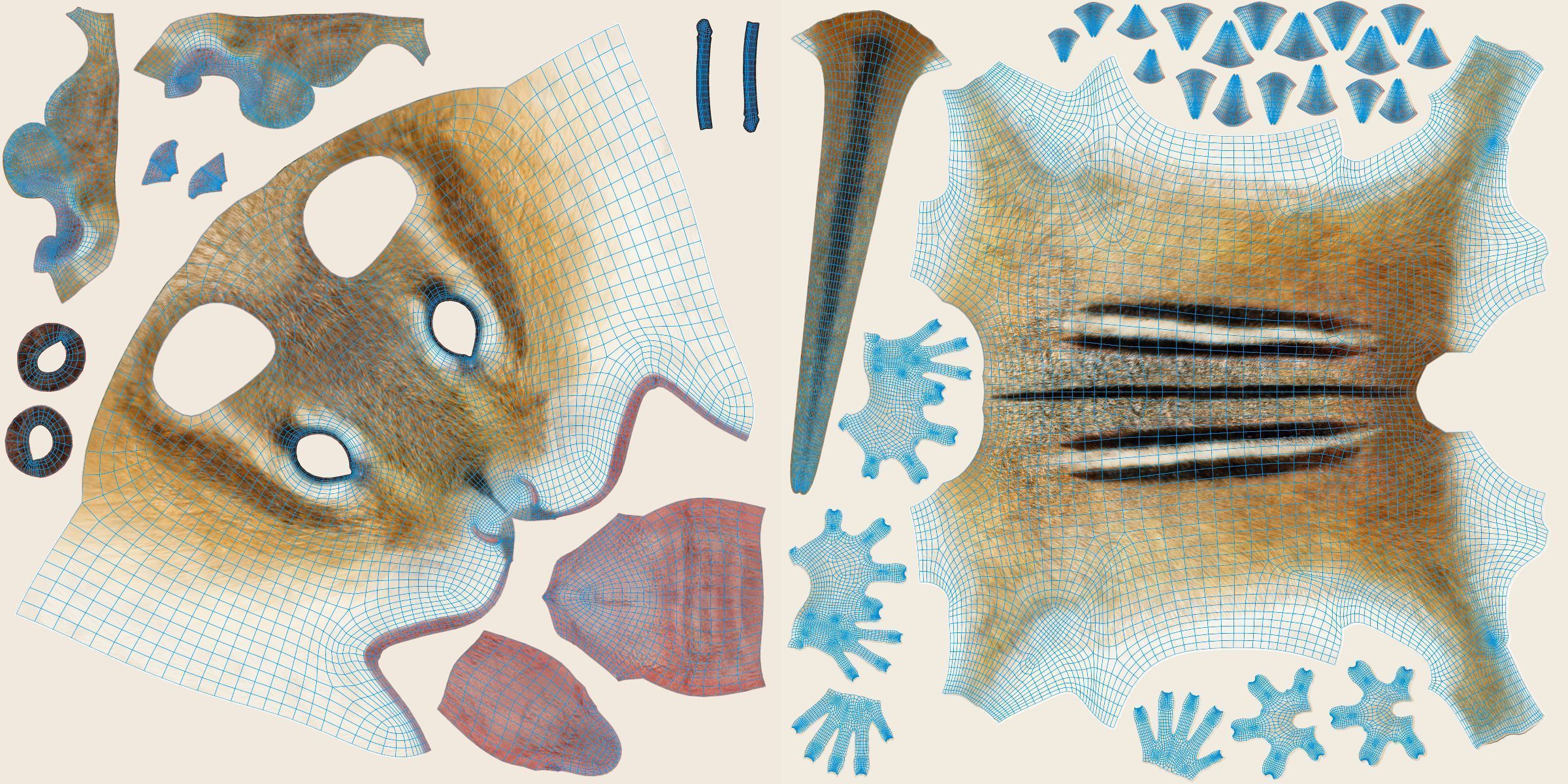 Chipmunk Animation VFX Grace 3D model_32