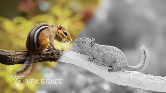 Chipmunk Animation VFX Grace 3D model 7