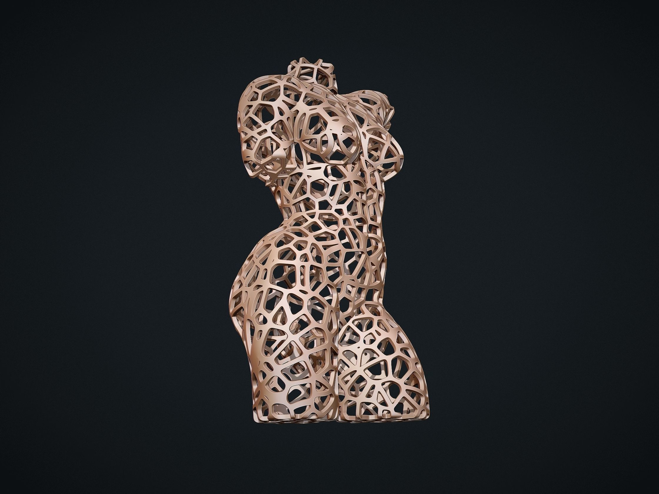 Female Torso Lattice Voronoi 3D print model_8