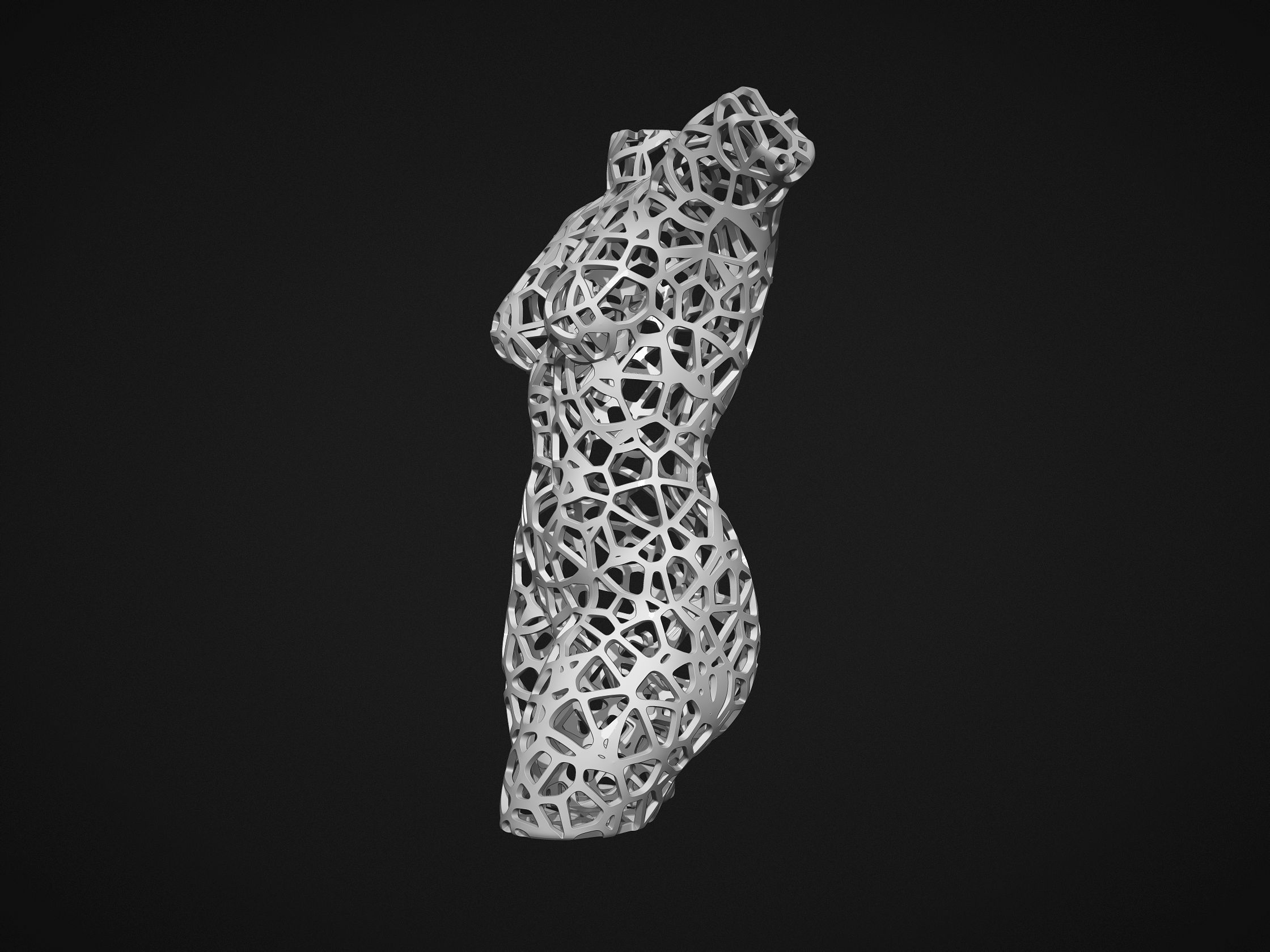 Female Torso Lattice Voronoi 3D print model_6