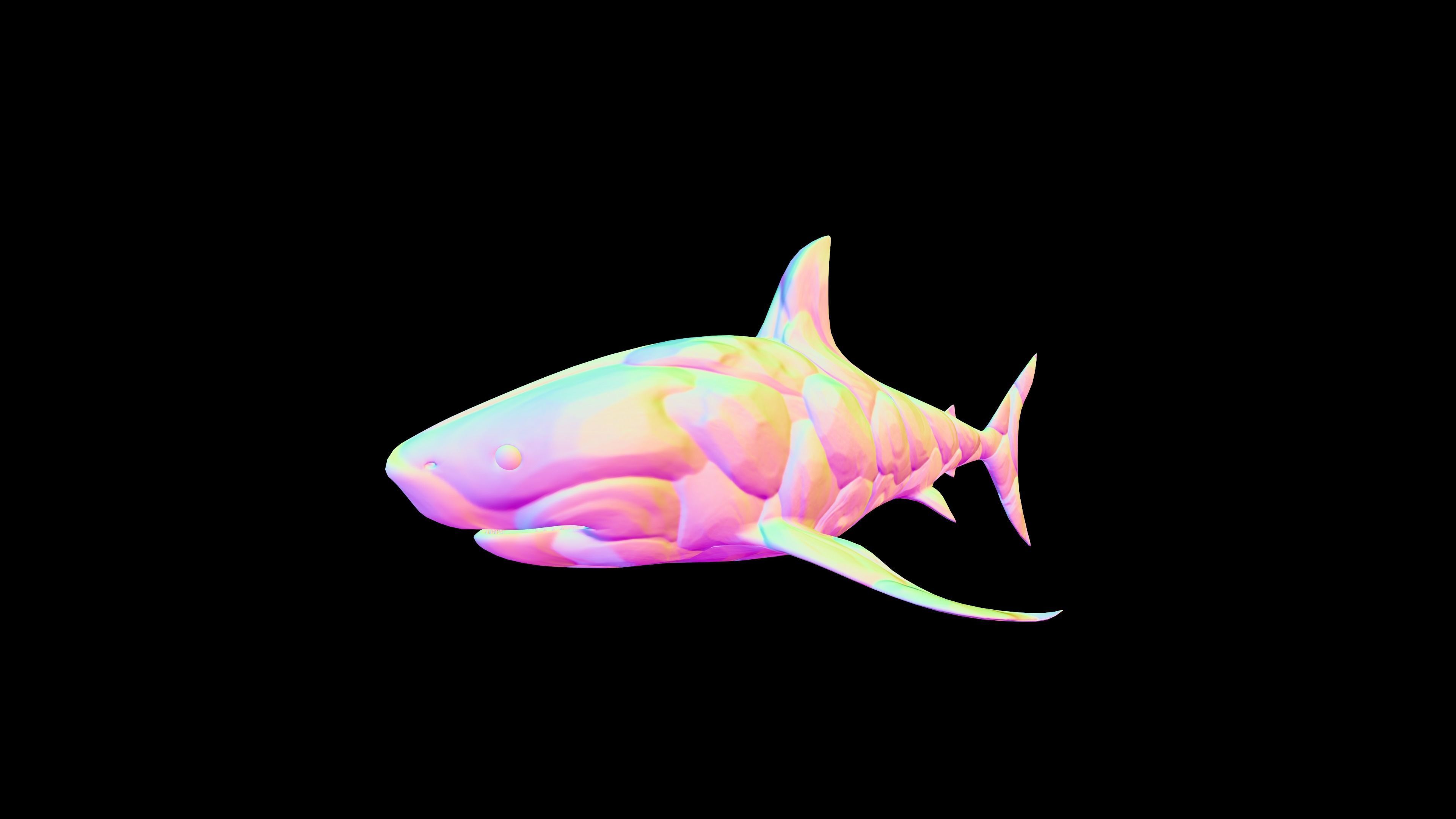Shark Low-poly 3D model_6