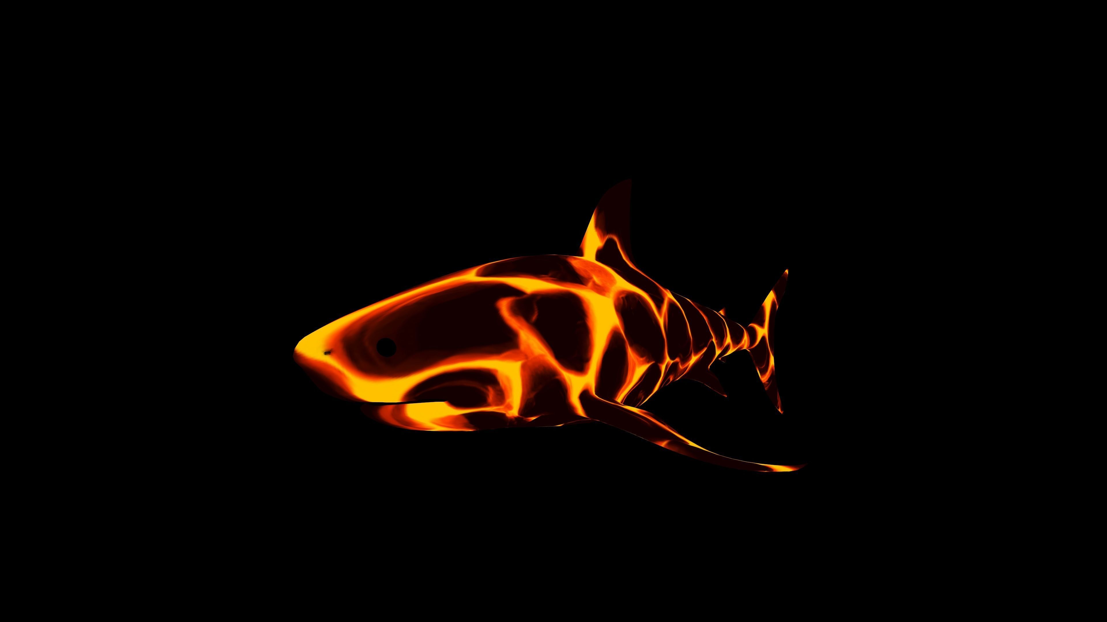 Shark Low-poly 3D model_5