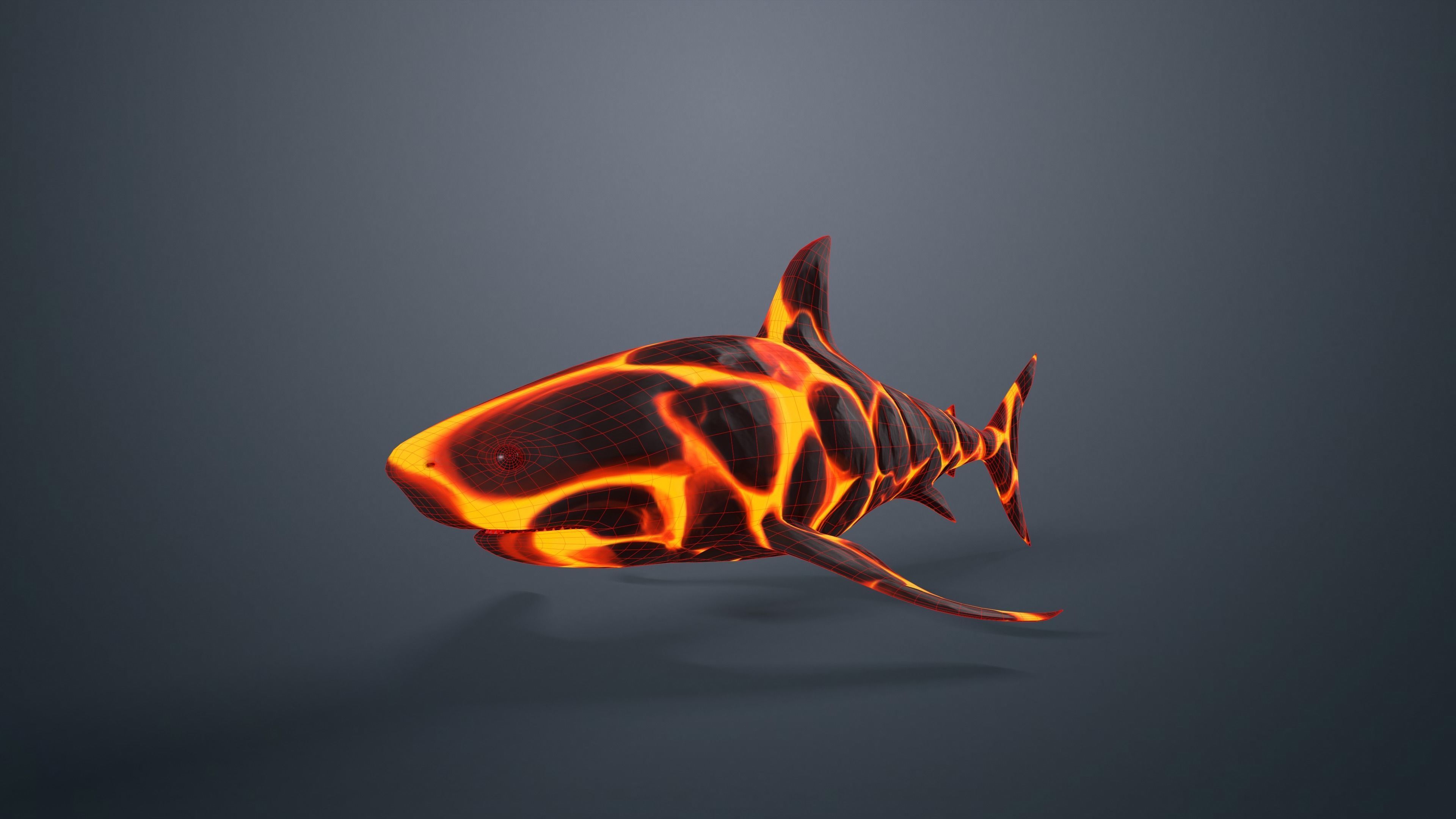 Shark Low-poly 3D model_3