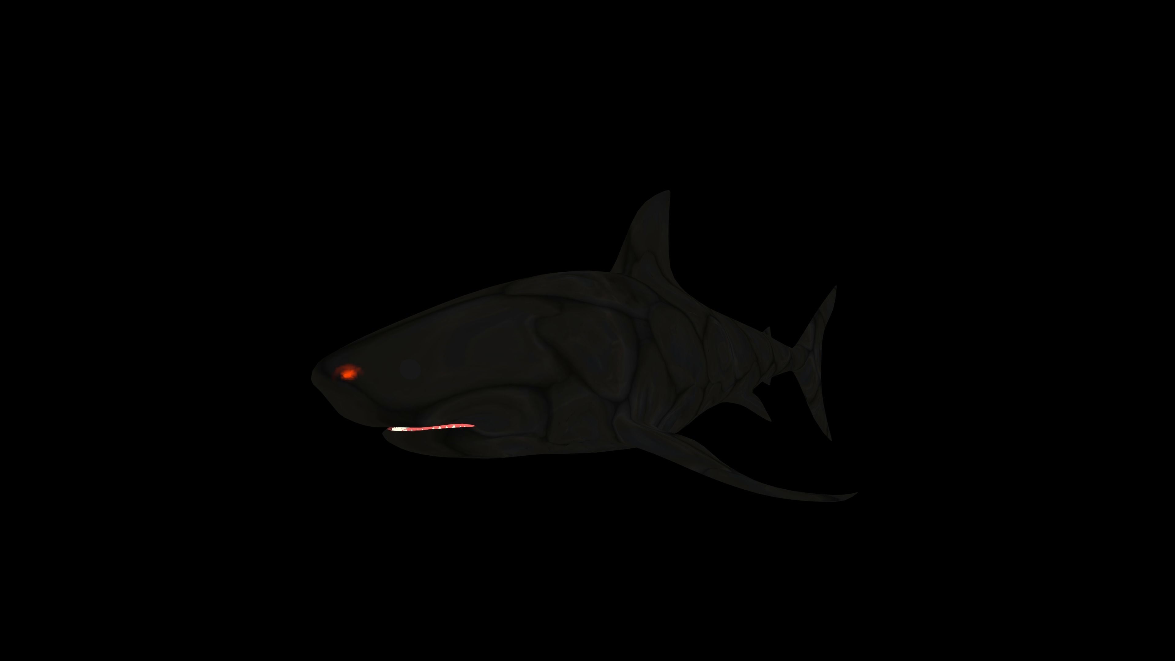 Shark Low-poly 3D model_4