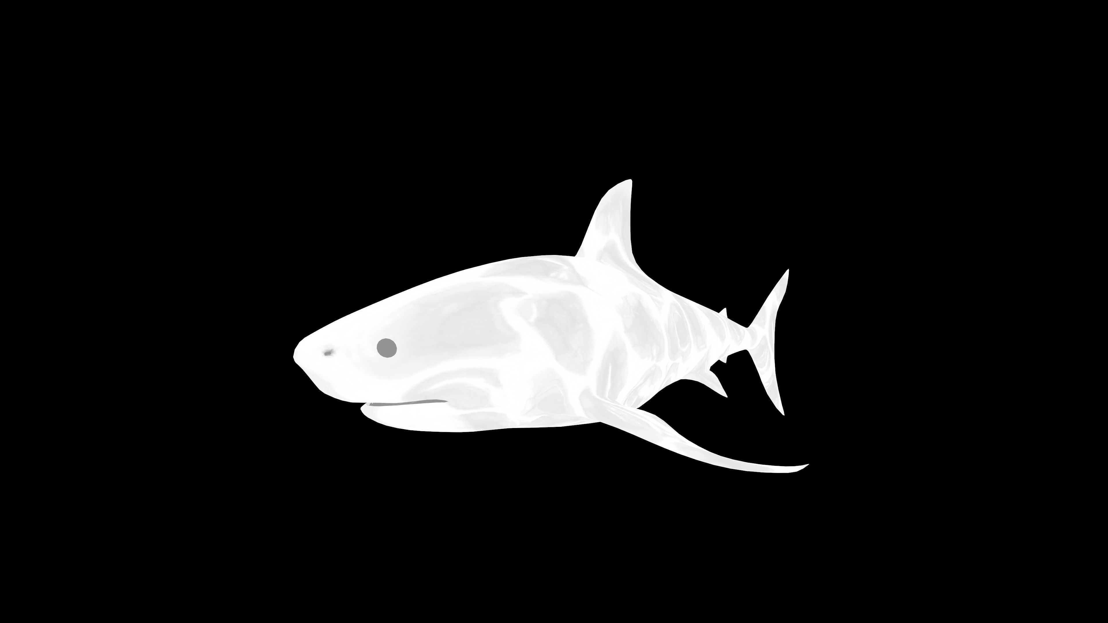 Shark Low-poly 3D model_8
