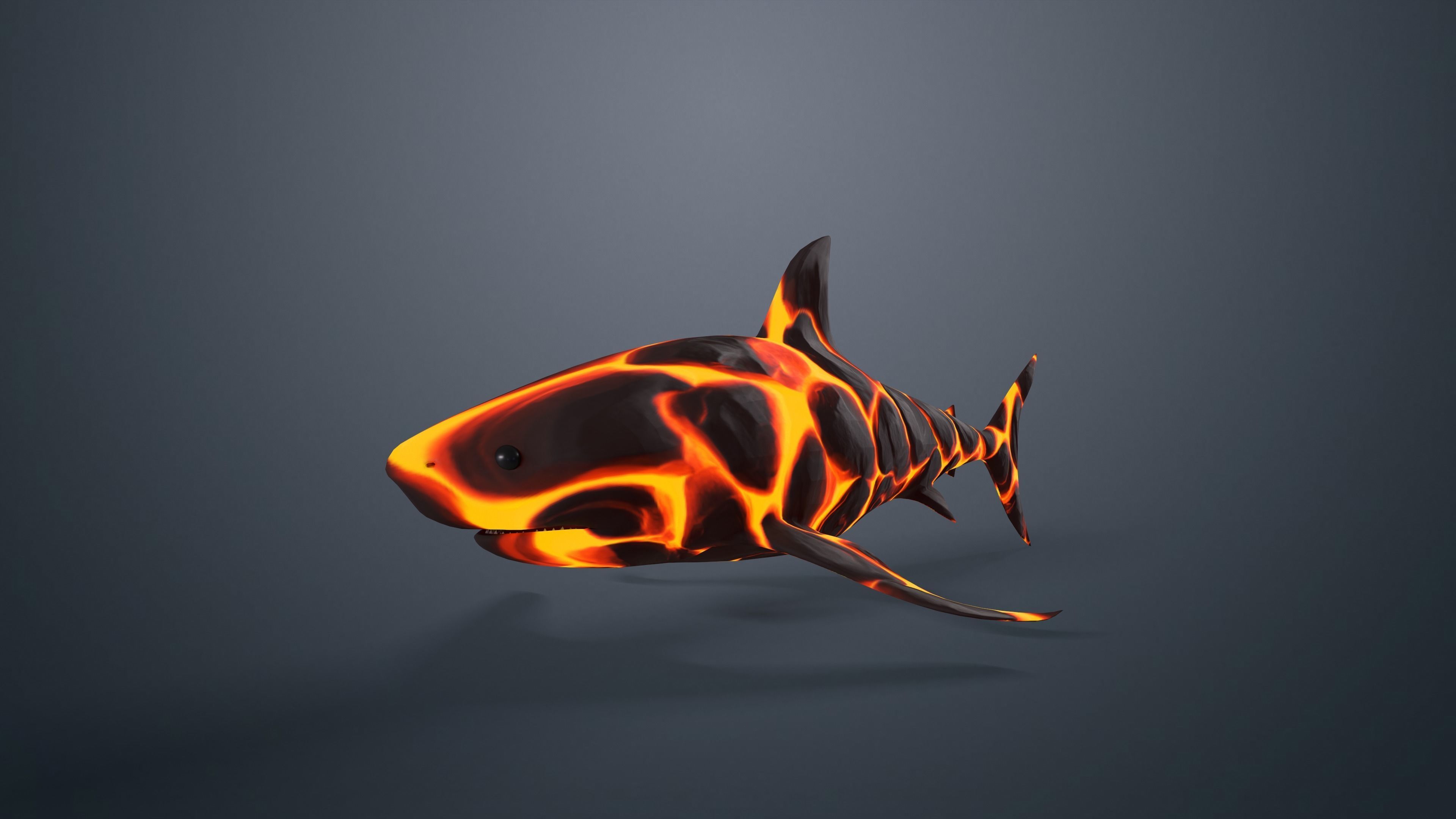 Shark Low-poly 3D model_7