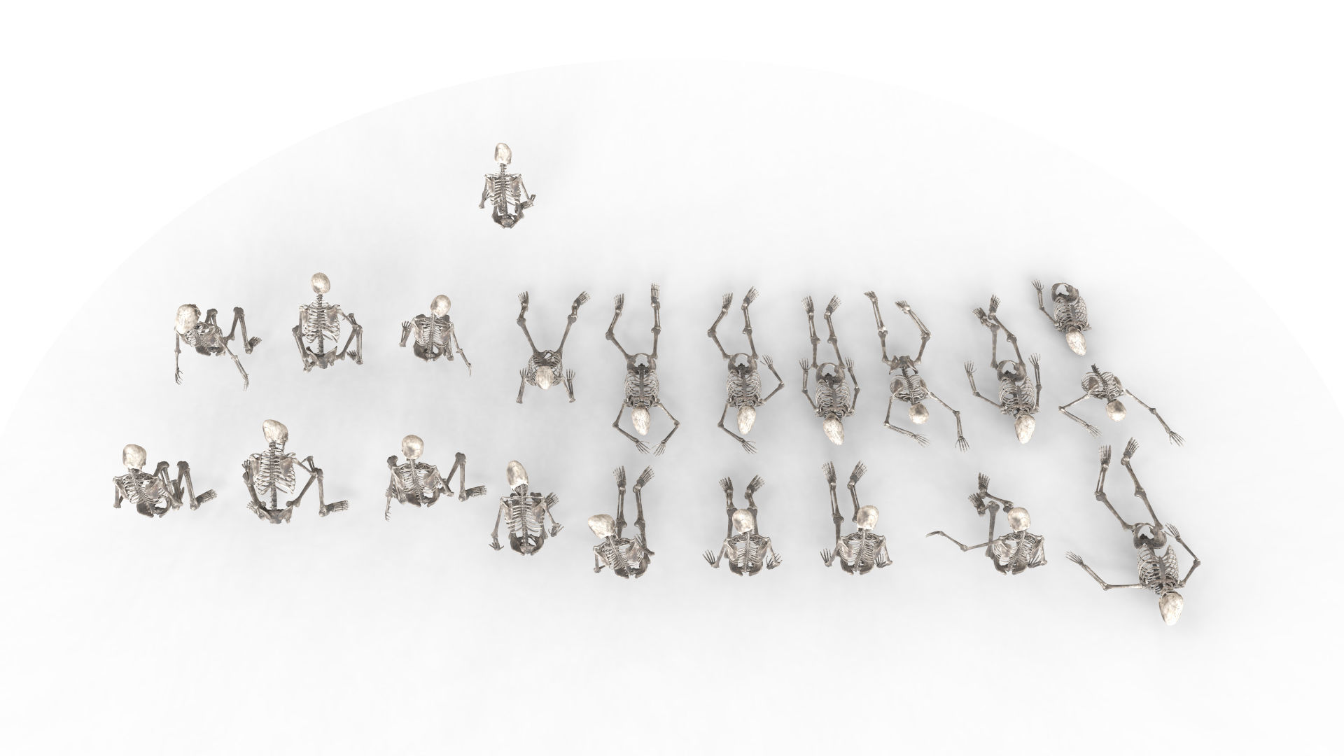 Human Skeleton Pack 1 Low-poly 3D model_3