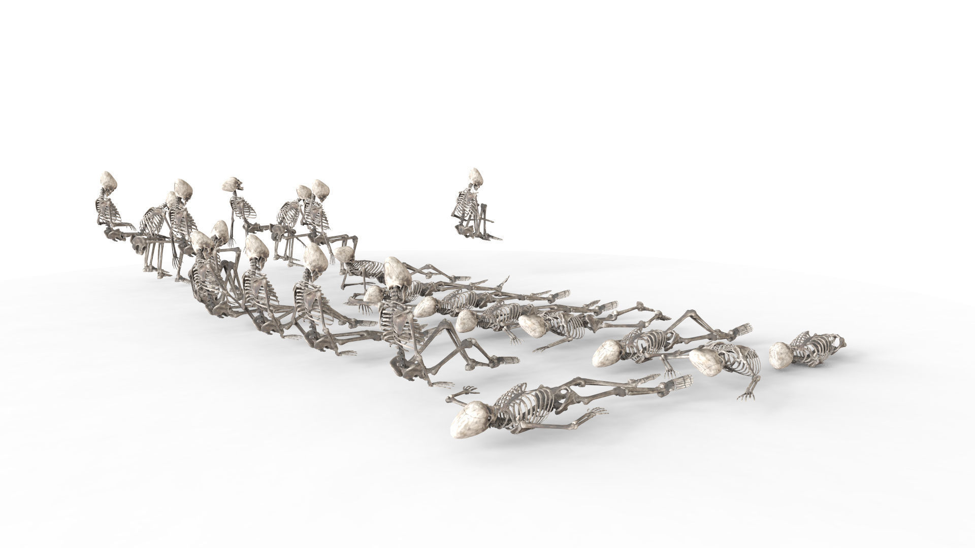 Human Skeleton Pack 1 Low-poly 3D model_2