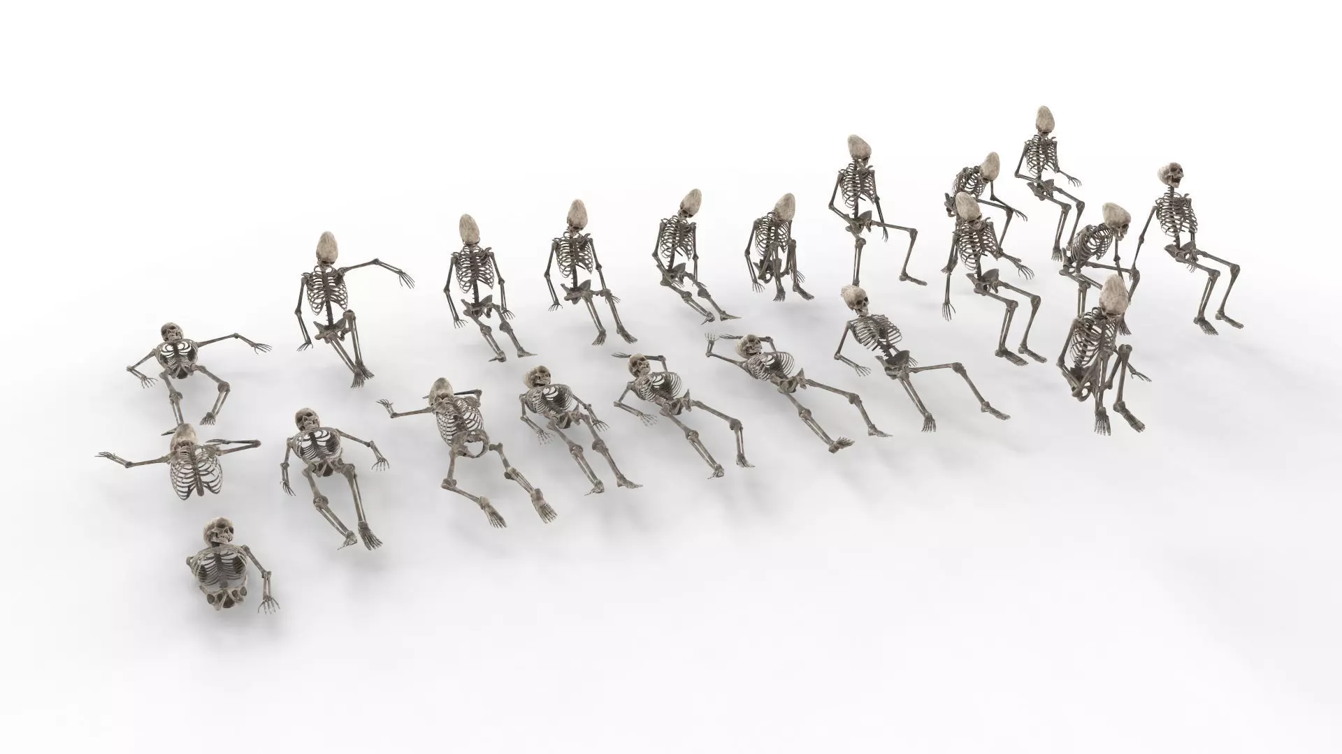 Human Skeleton Pack 1 Low-poly 3D model_0