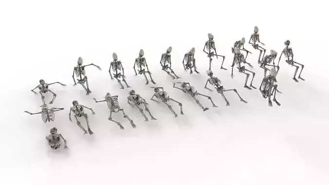 Human Skeleton Pack 1 Low-poly 3D model