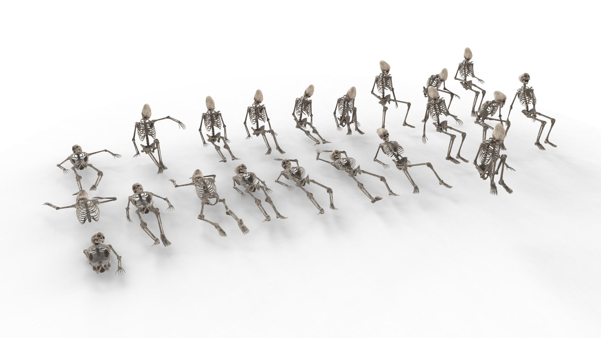 Human Skeleton Pack 1 Low-poly 3D model_11