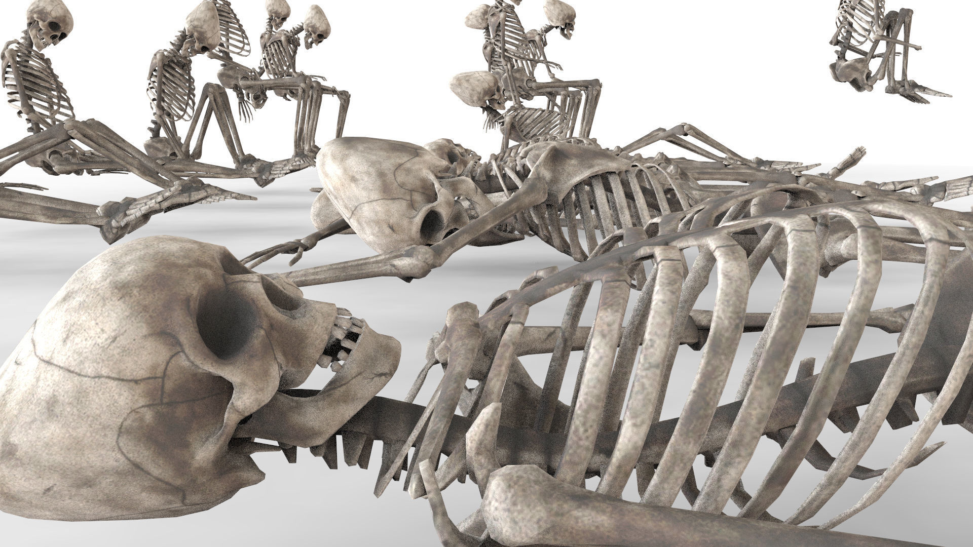 Human Skeleton Pack 1 Low-poly 3D model_17