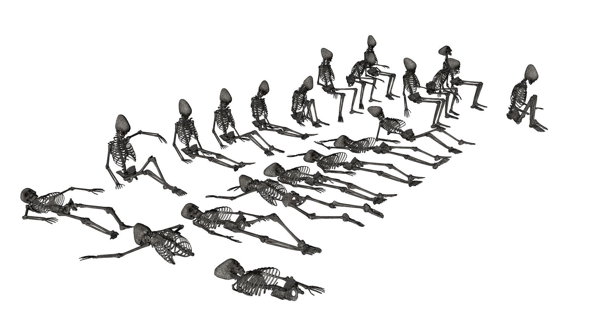 Human Skeleton Pack 1 Low-poly 3D model_8