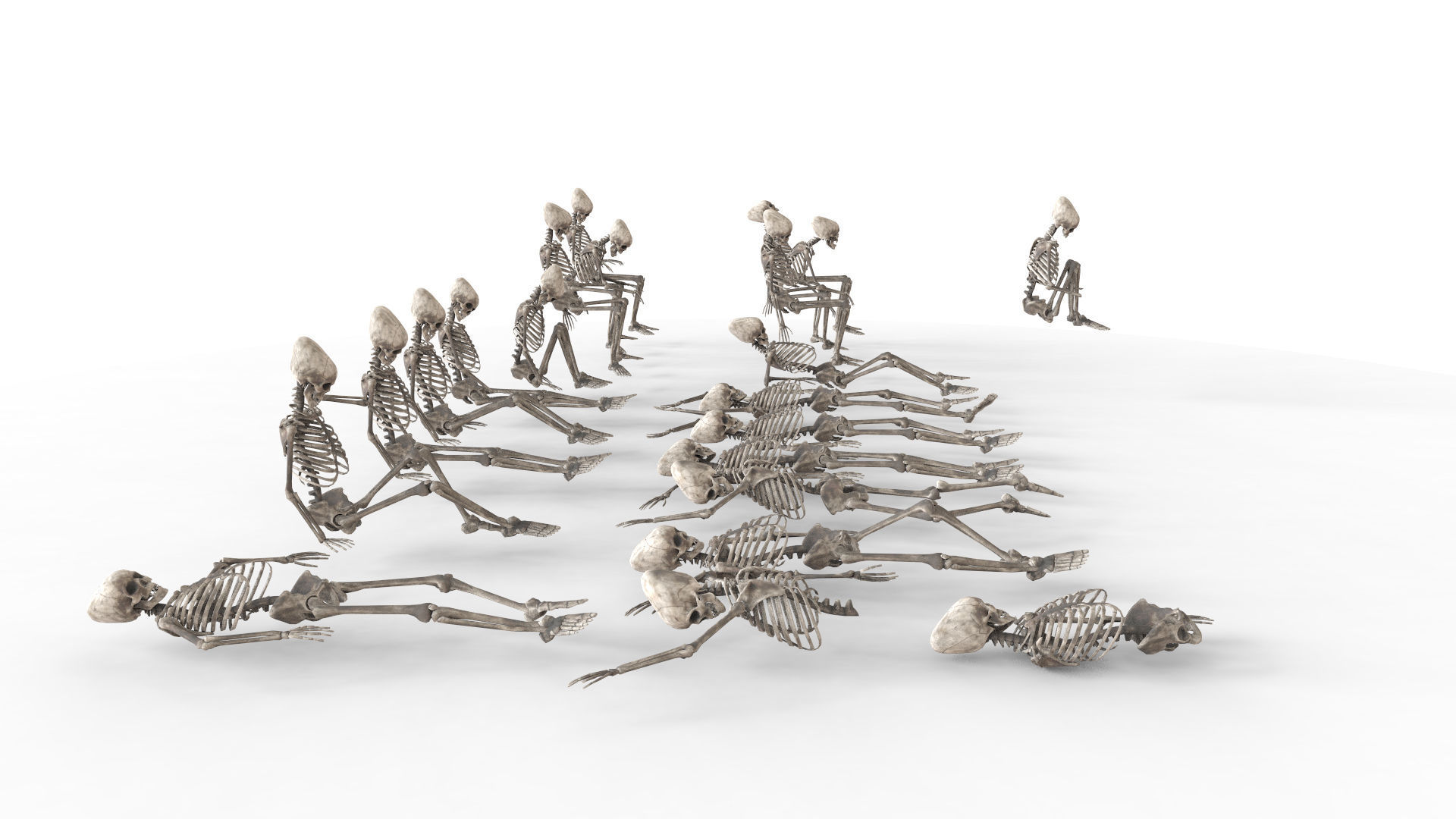 Human Skeleton Pack 1 Low-poly 3D model_12