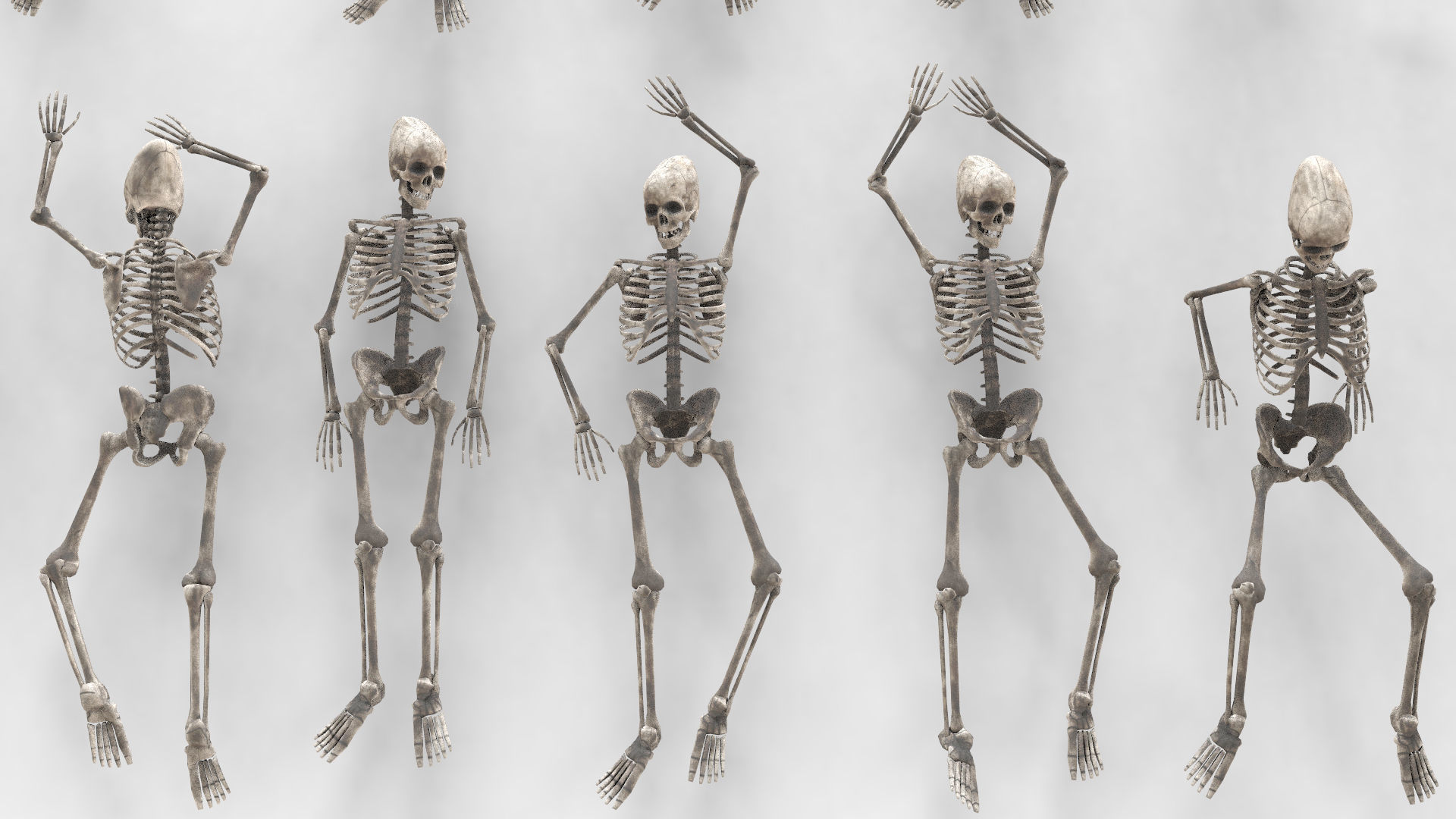 Human Skeleton Pack 1 Low-poly 3D model_5