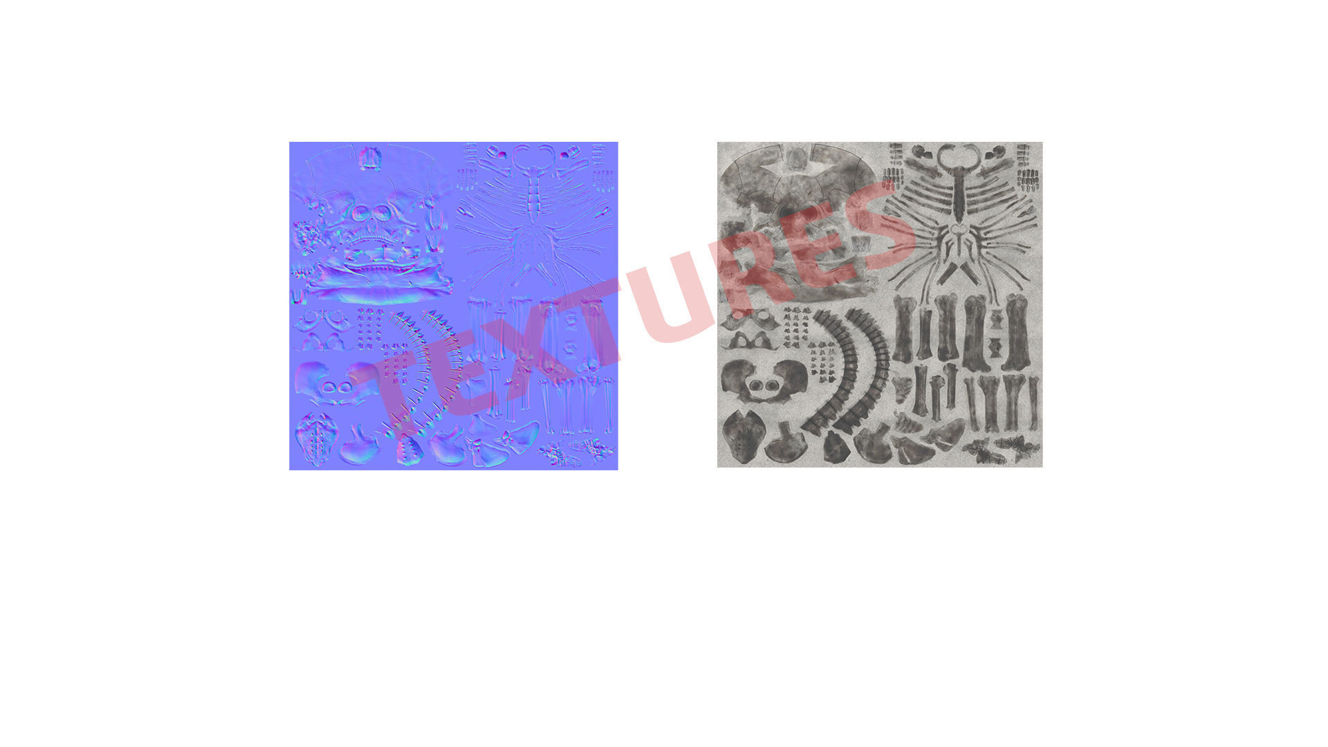 Human Skeleton Pack 1 Low-poly 3D model_7