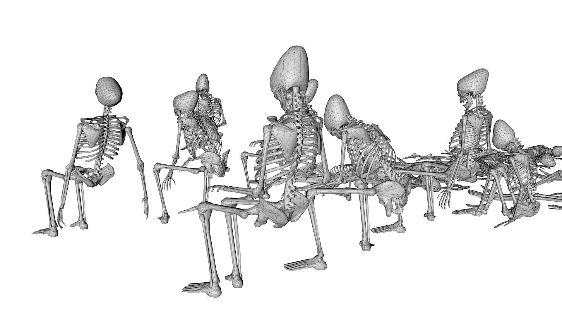 Human Skeleton Pack 1 Low-poly 3D model_10