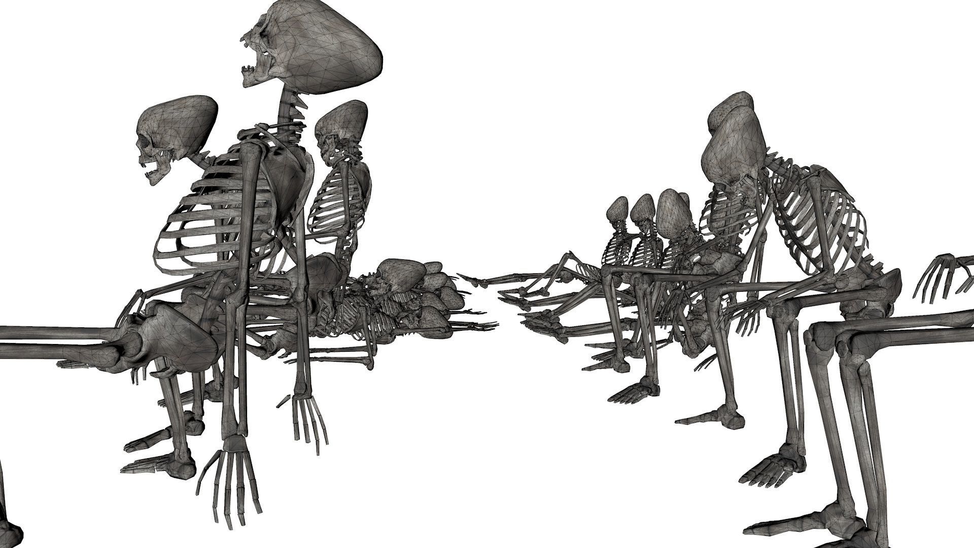 Human Skeleton Pack 1 Low-poly 3D model_20