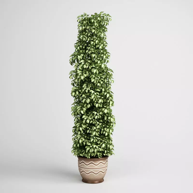 Tall Plant in Pot 17 3D model