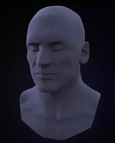 3D head  Free 3D model