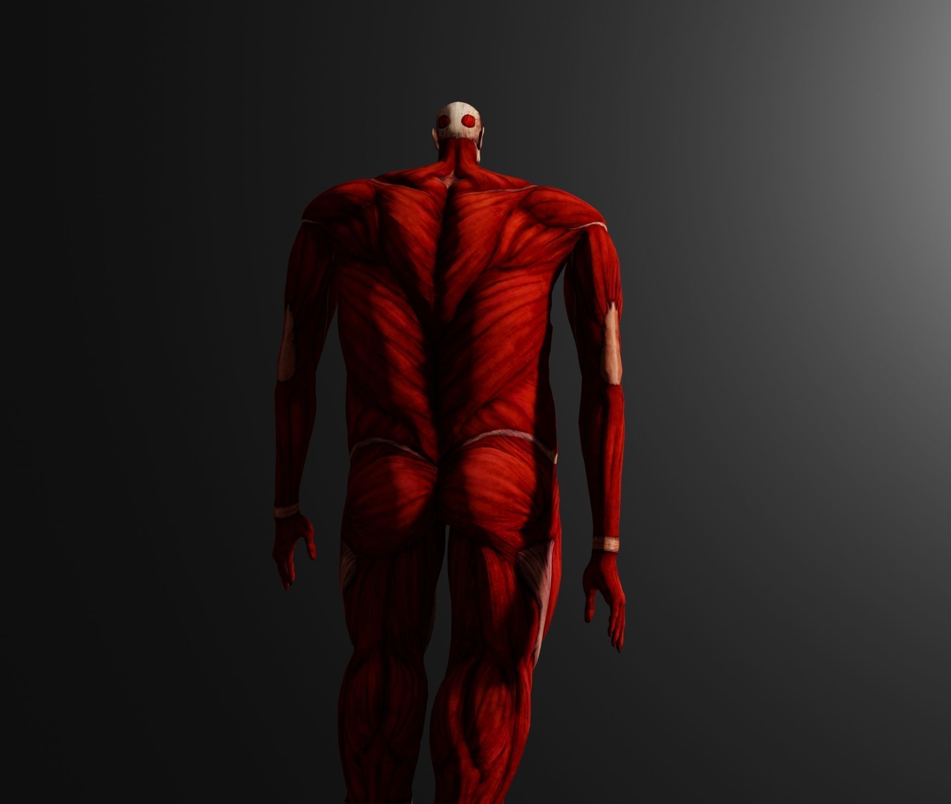 colossal titan 3D model_4