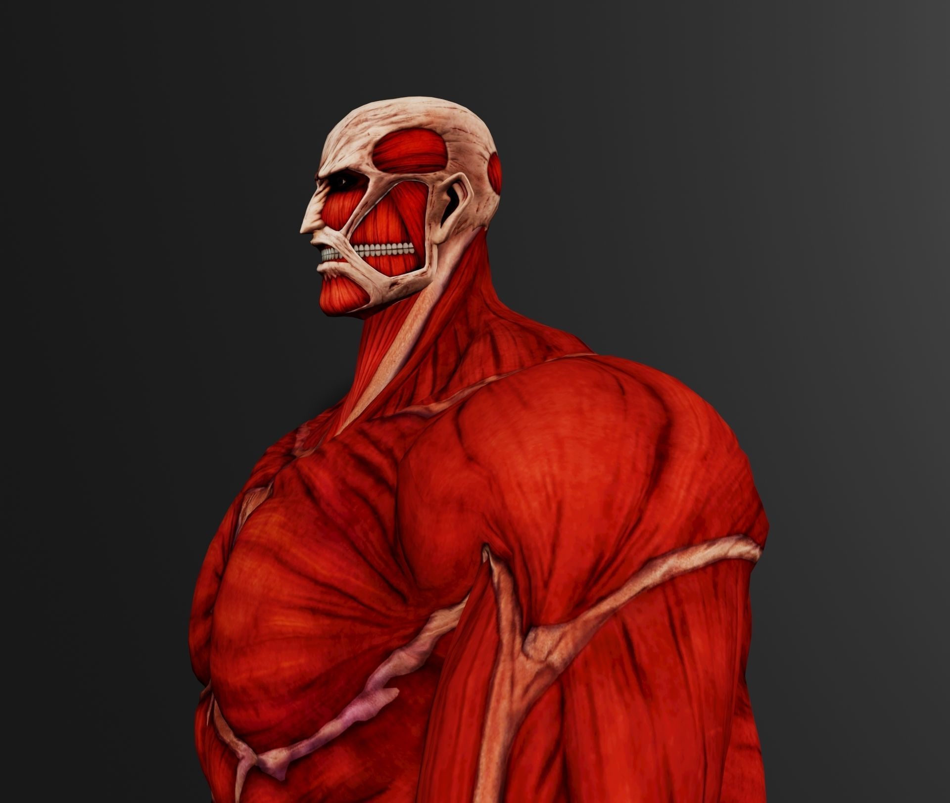 colossal titan 3D model_3
