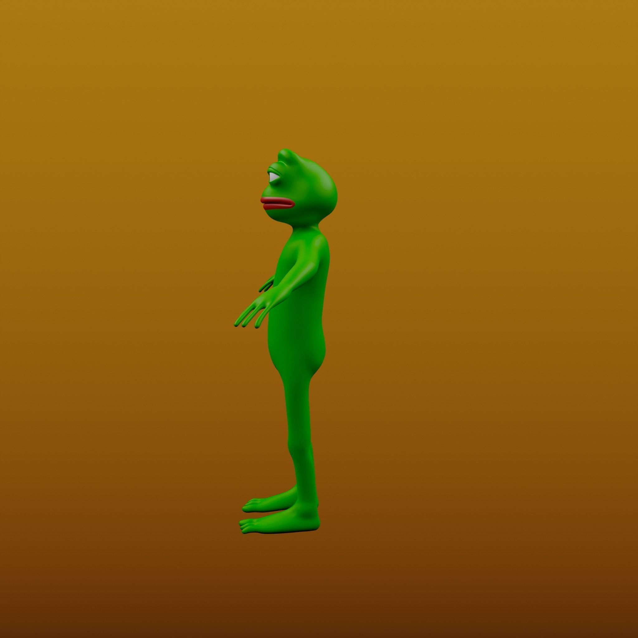 Pepe the Frog Full Body Rigged Character Low-poly 3D model_6