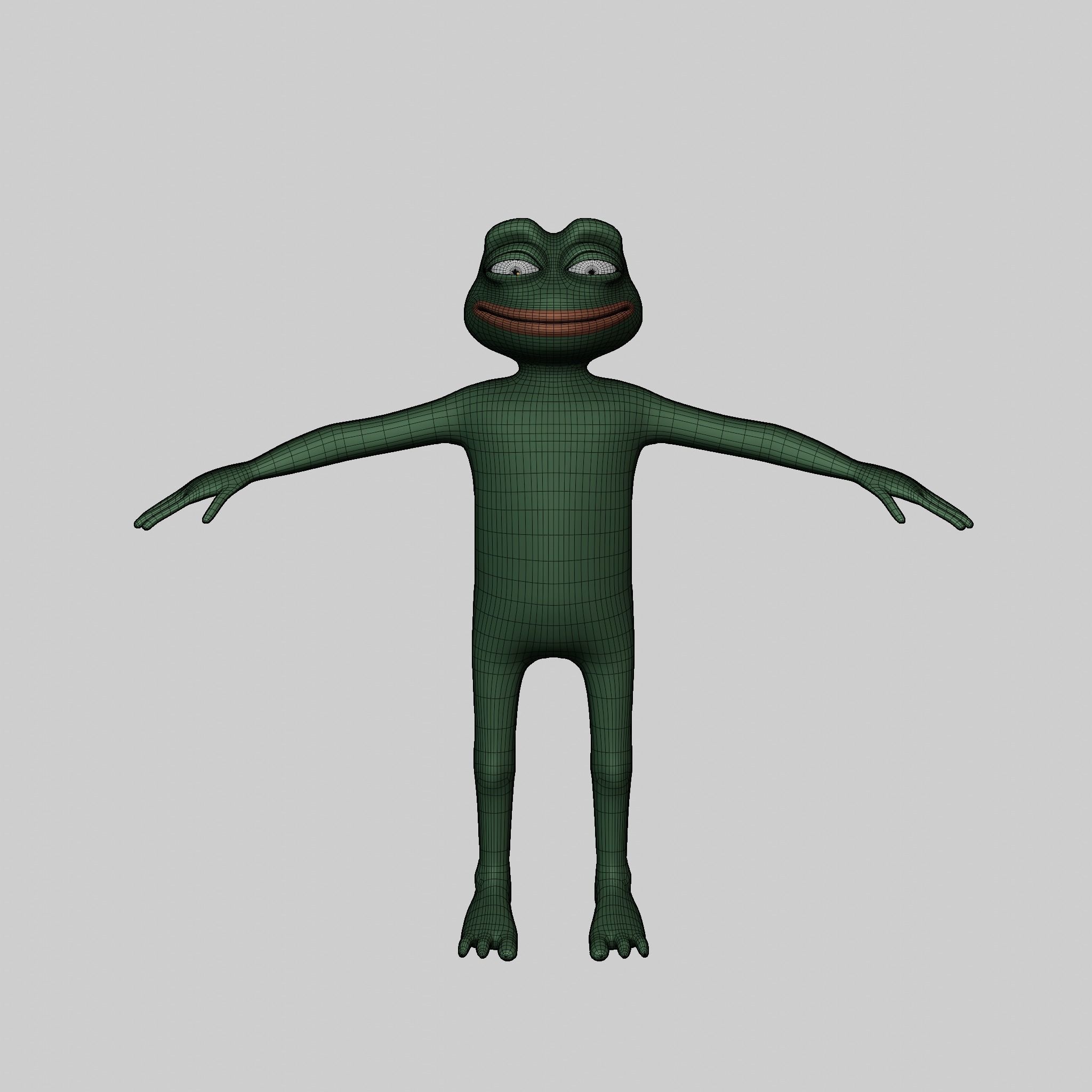 Pepe the Frog Full Body Rigged Character Low-poly 3D model_37