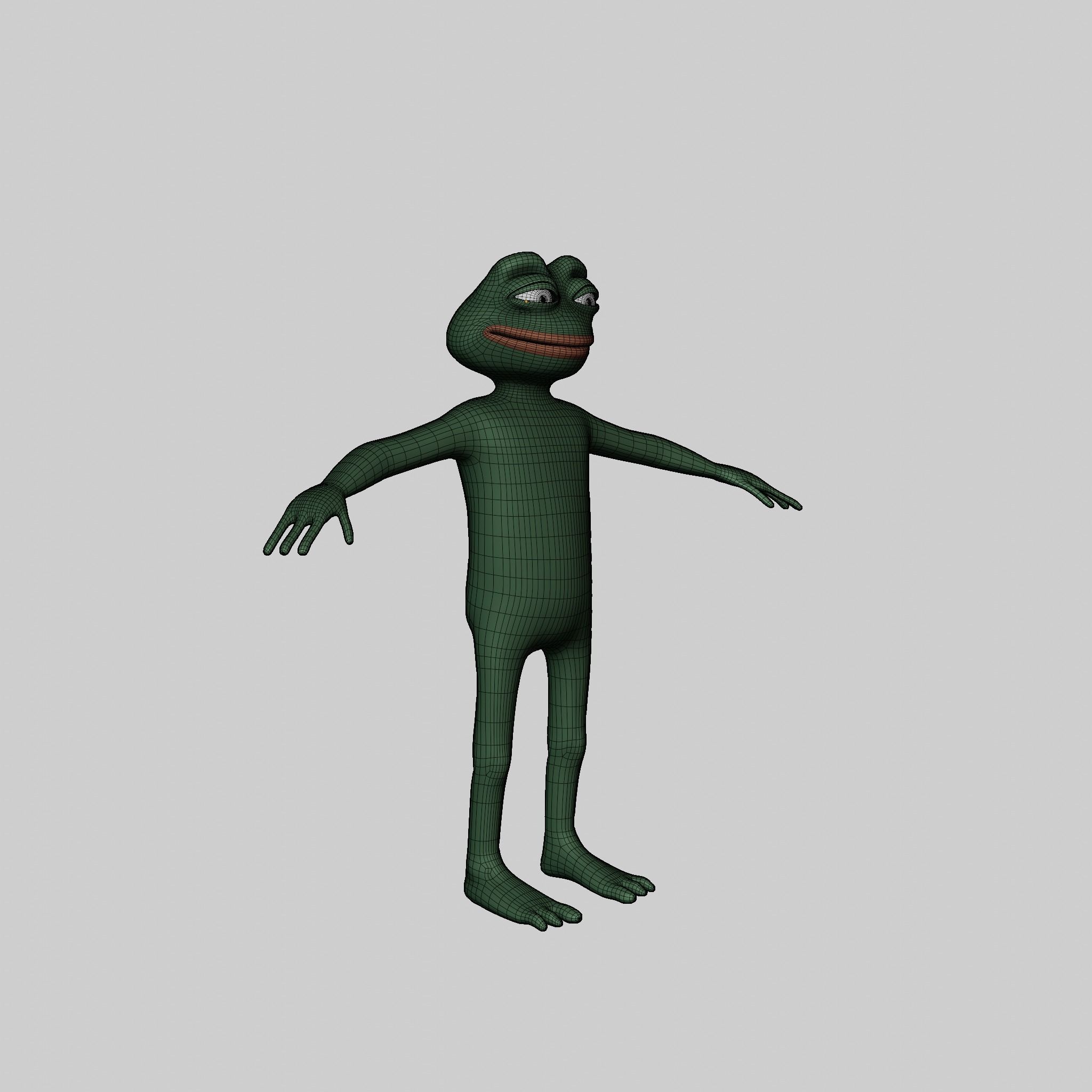 Pepe the Frog Full Body Rigged Character Low-poly 3D model_40