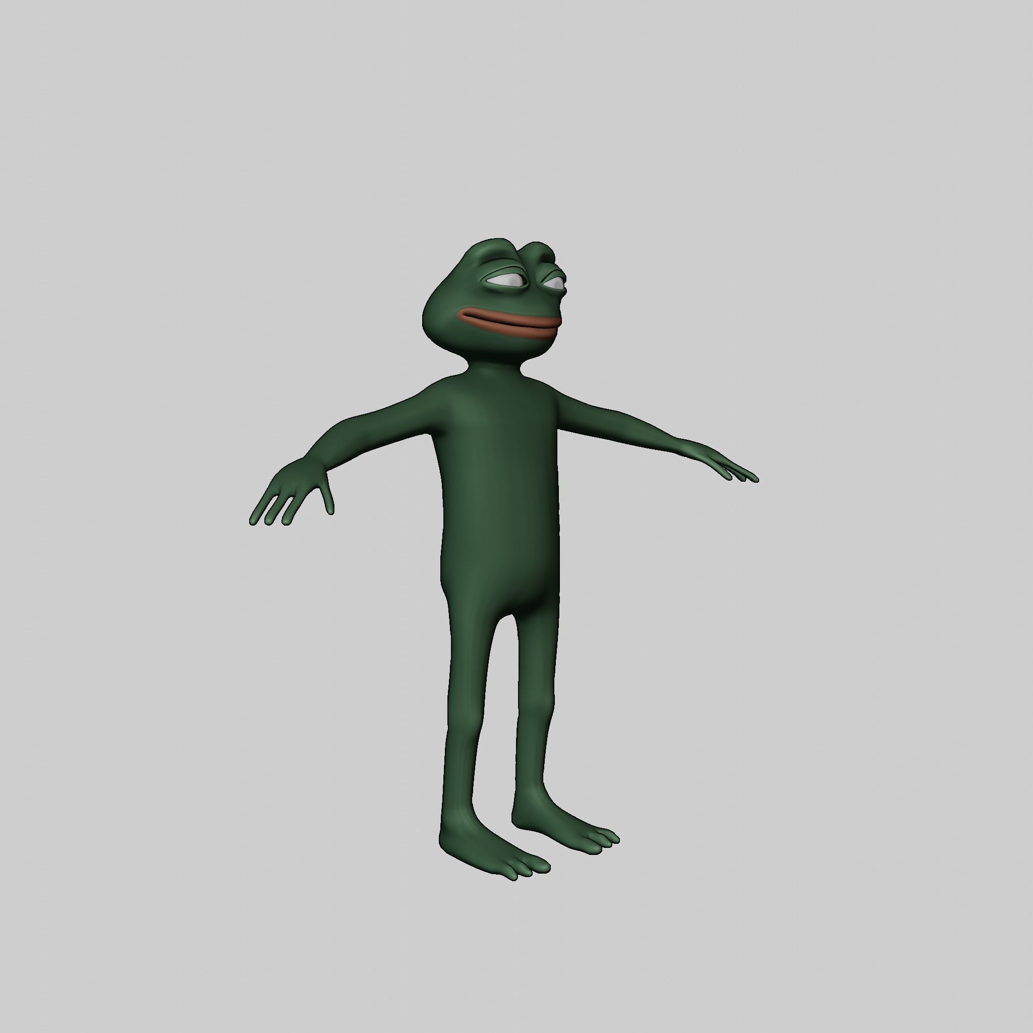 Pepe the Frog Full Body Rigged Character Low-poly 3D model_34